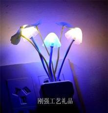 陶刚强(个体经营)小夜灯 用心点亮每一夜